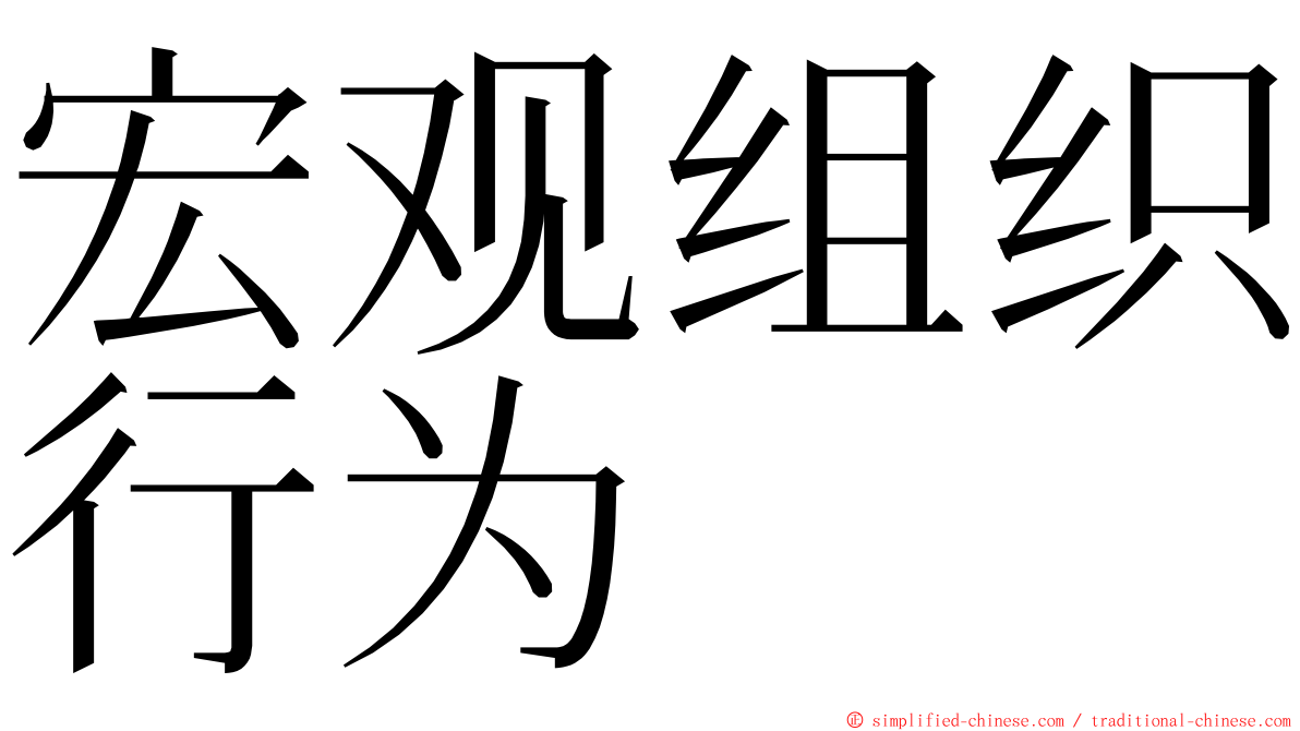 宏观组织行为 ming font