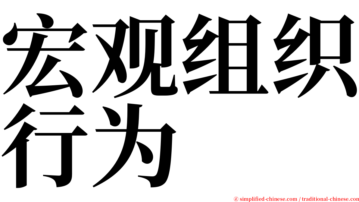 宏观组织行为 serif font