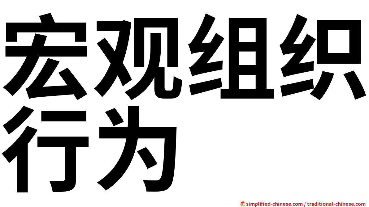 宏观组织行为