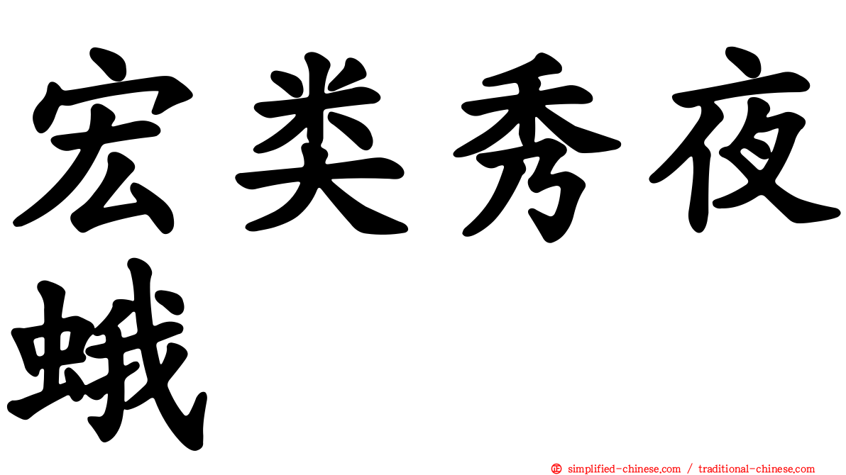 宏类秀夜蛾