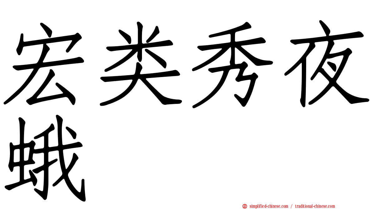宏类秀夜蛾