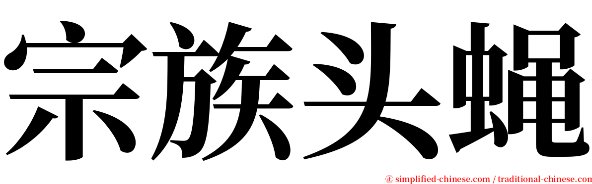 宗族头蝇 serif font