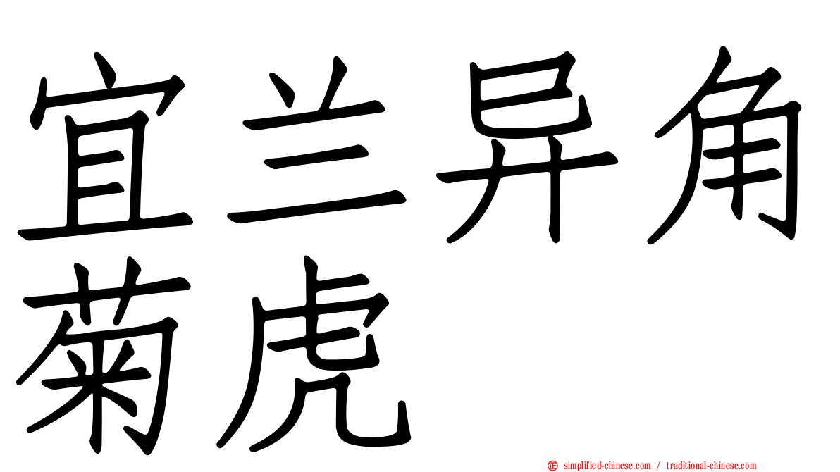 宜兰异角菊虎