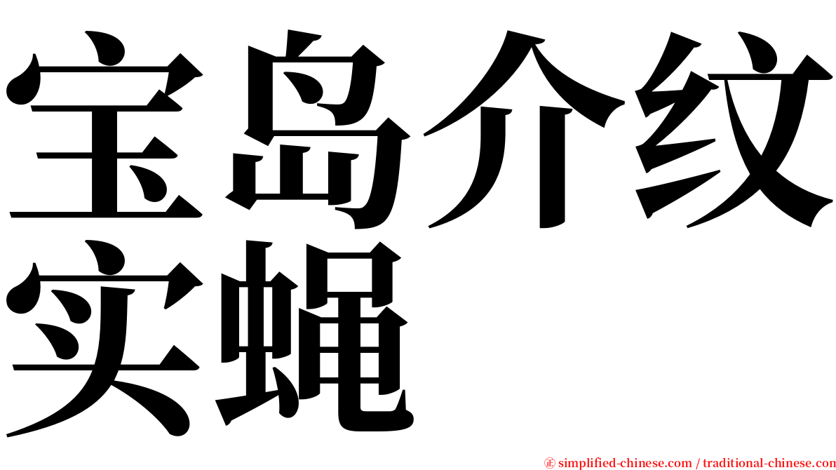 宝岛介纹实蝇 serif font