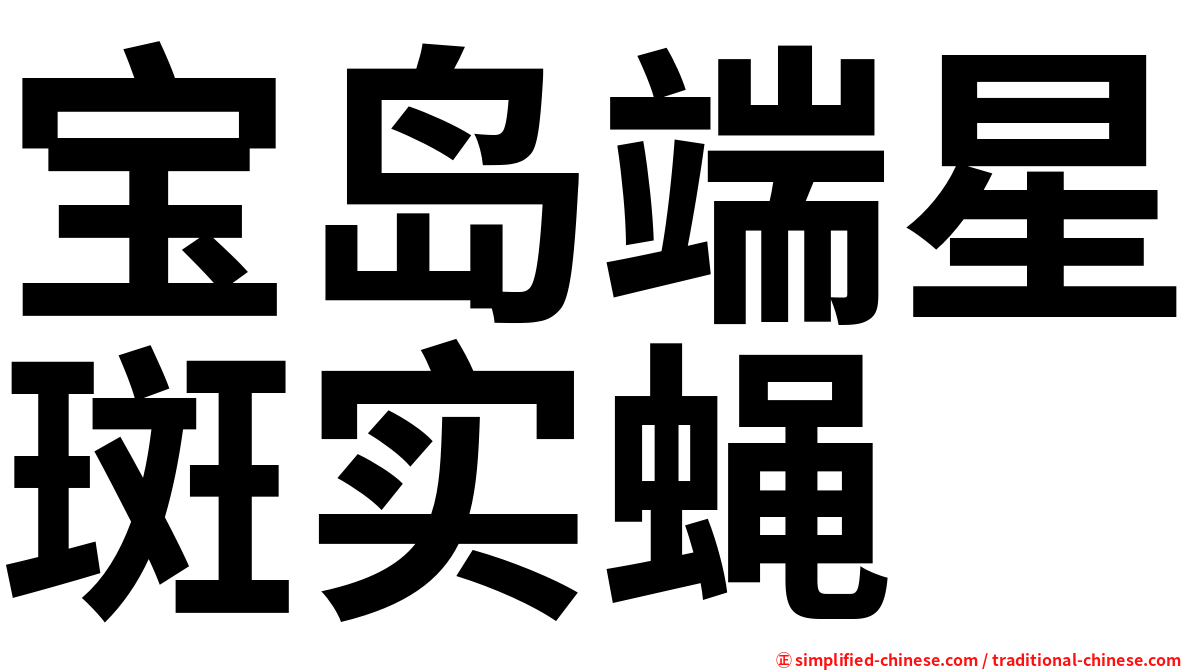 宝岛端星斑实蝇