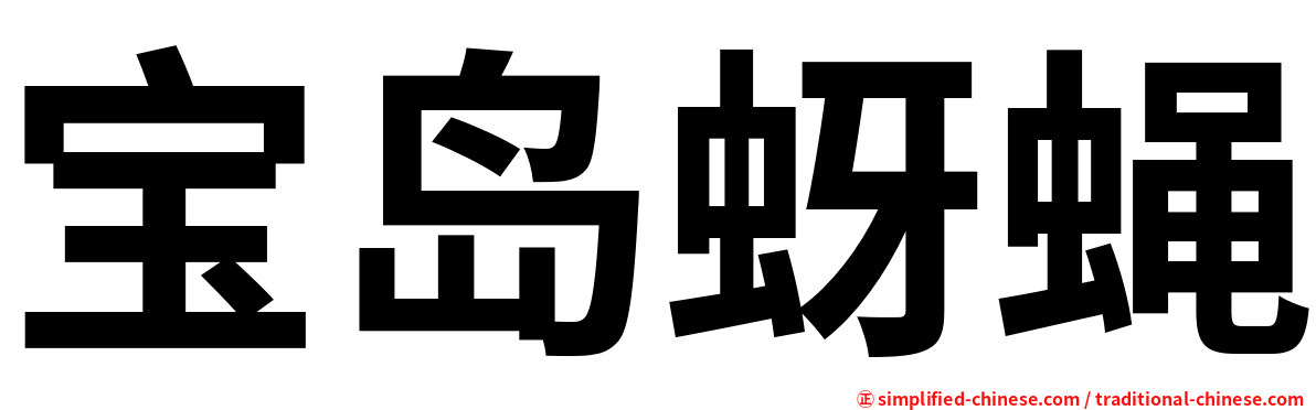 宝岛蚜蝇