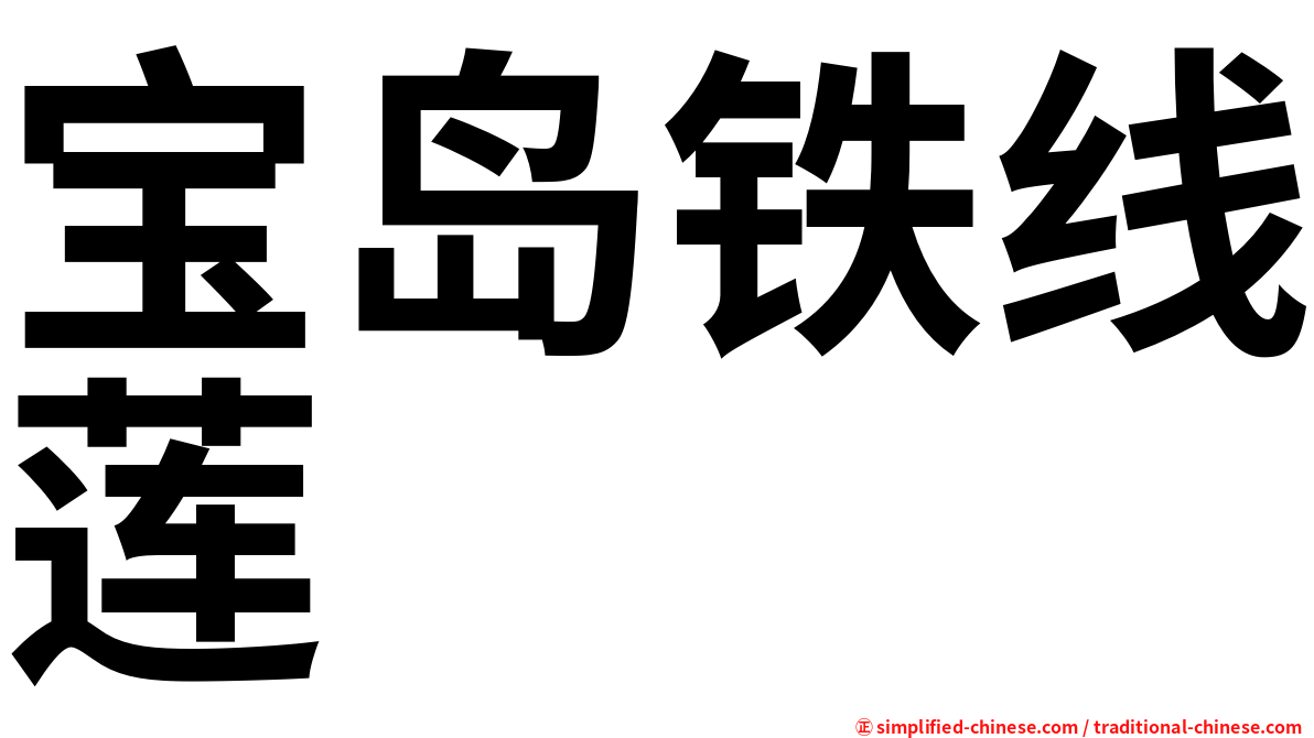宝岛铁线莲