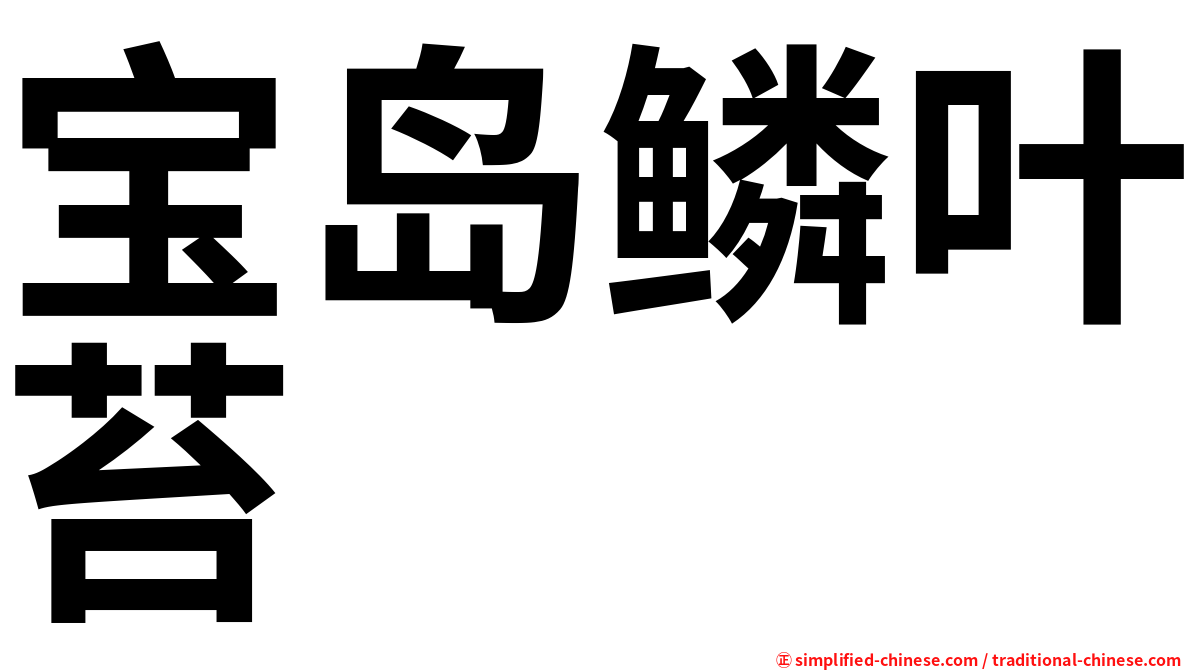 宝岛鳞叶苔