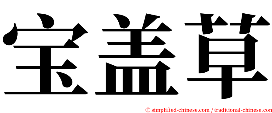 宝盖草 serif font