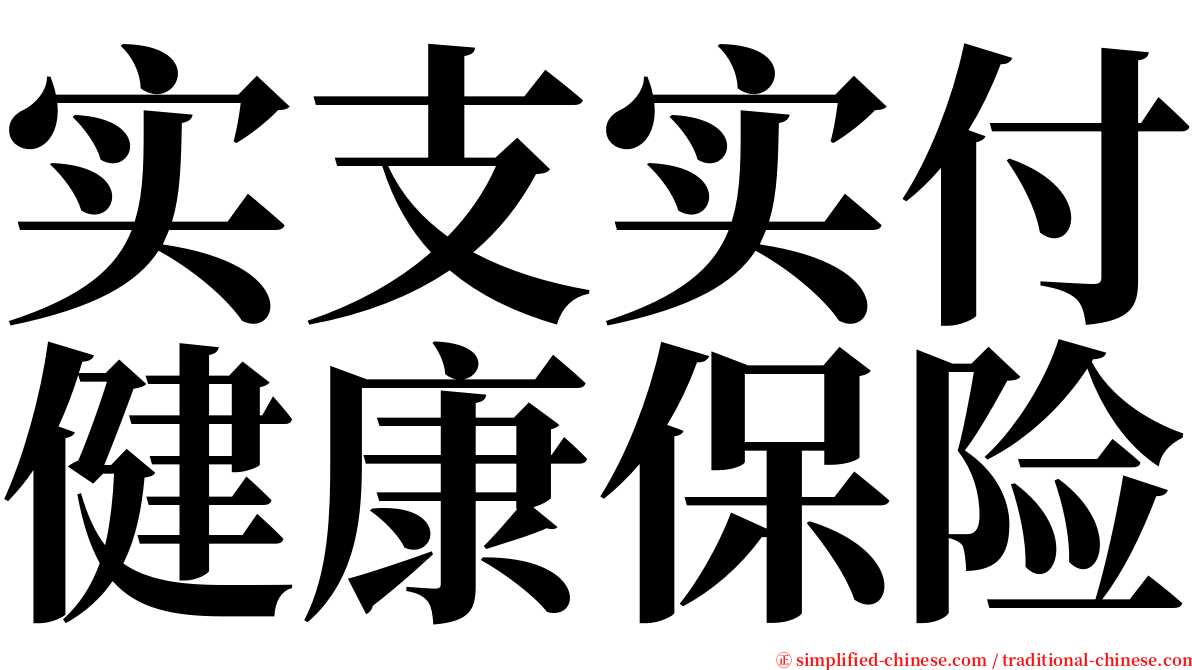 实支实付健康保险 serif font