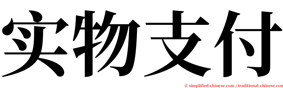 实物支付 serif font