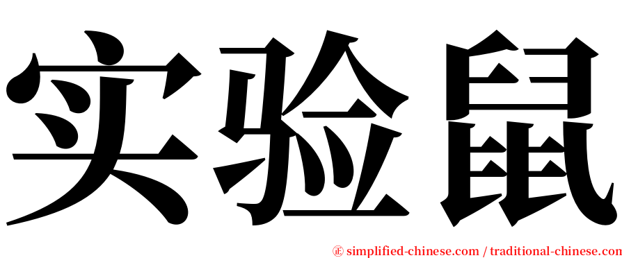 实验鼠 serif font