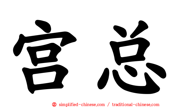 宫总