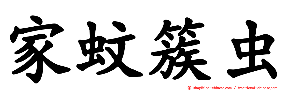 家蚊簇虫