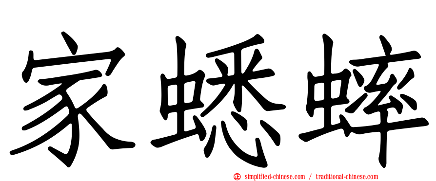 家蟋蟀