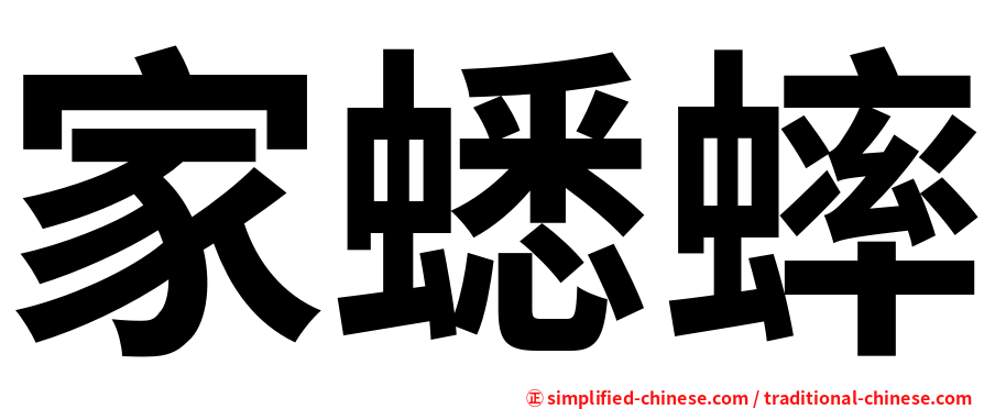 家蟋蟀