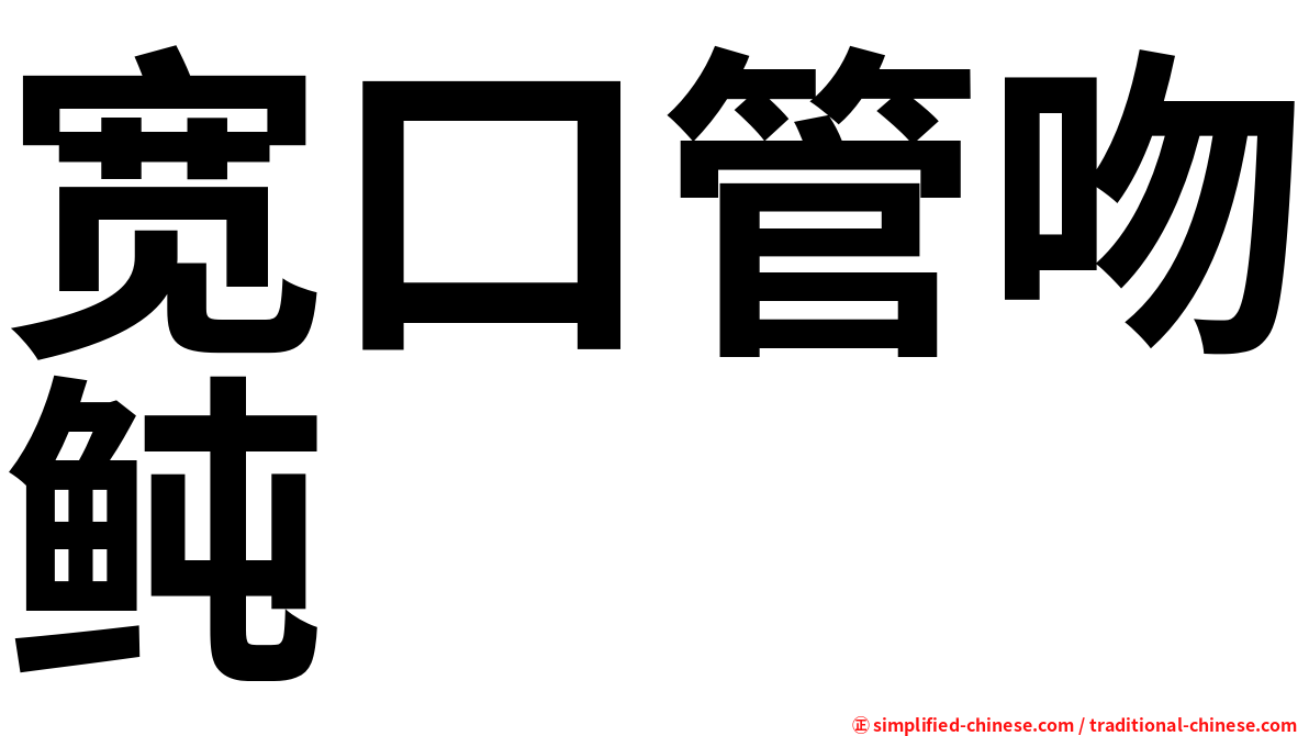 宽口管吻鲀
