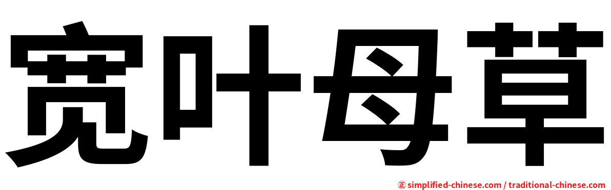 宽叶母草