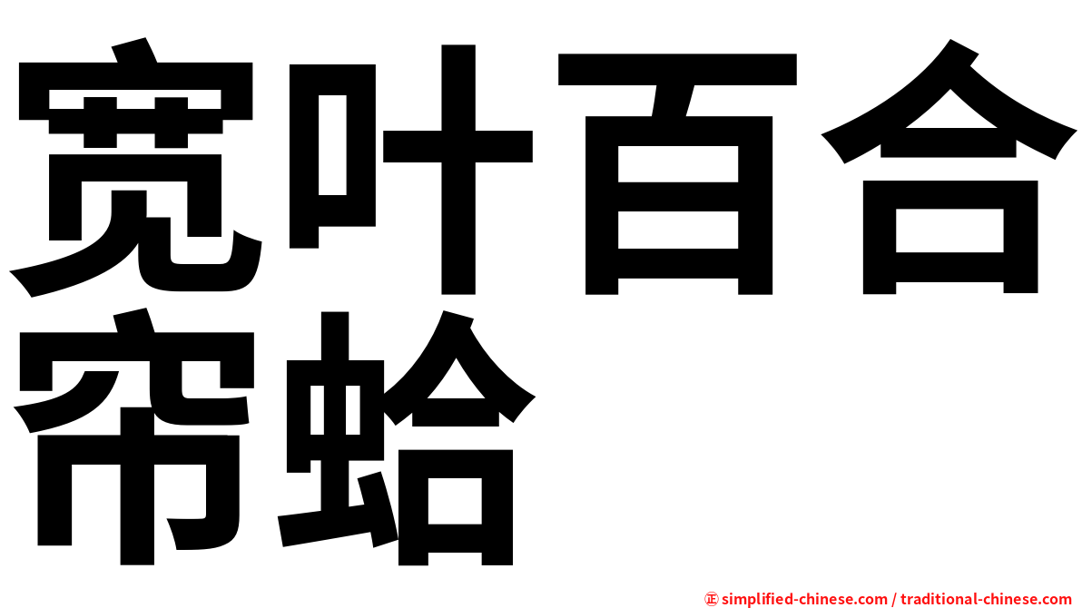 宽叶百合帘蛤