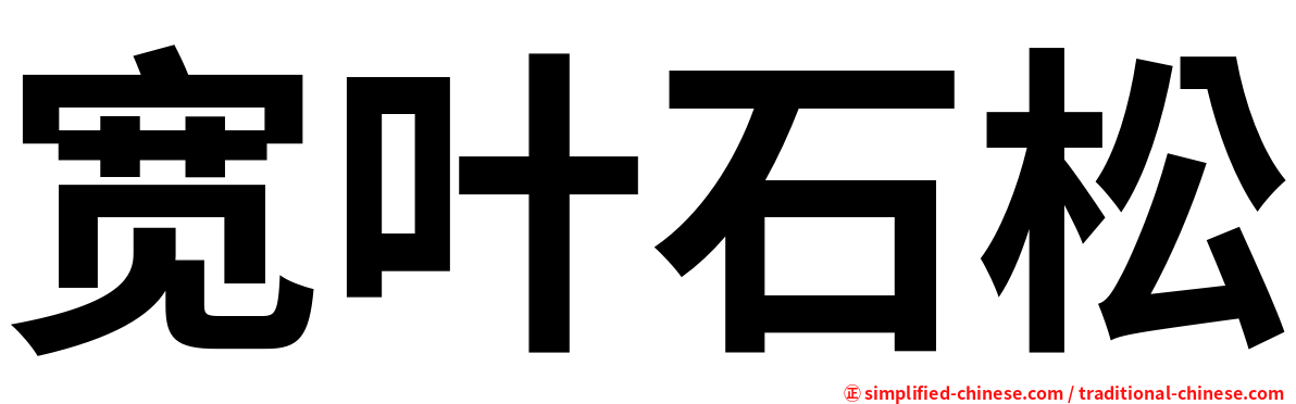 宽叶石松