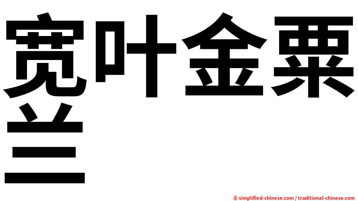 宽叶金粟兰