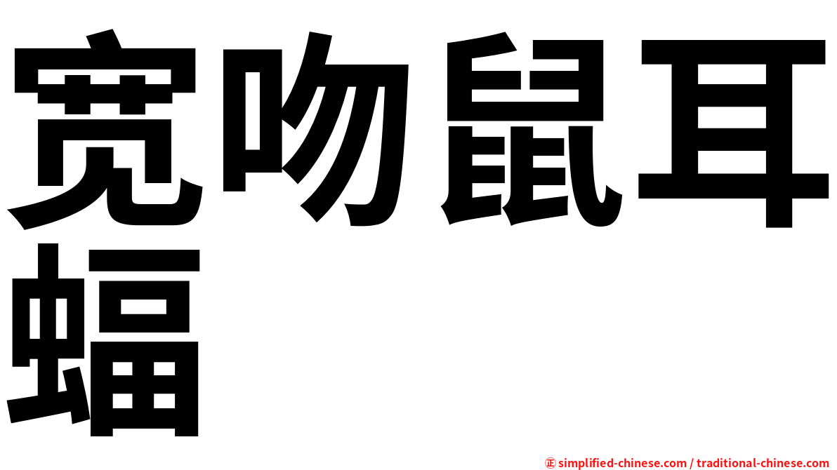 宽吻鼠耳蝠