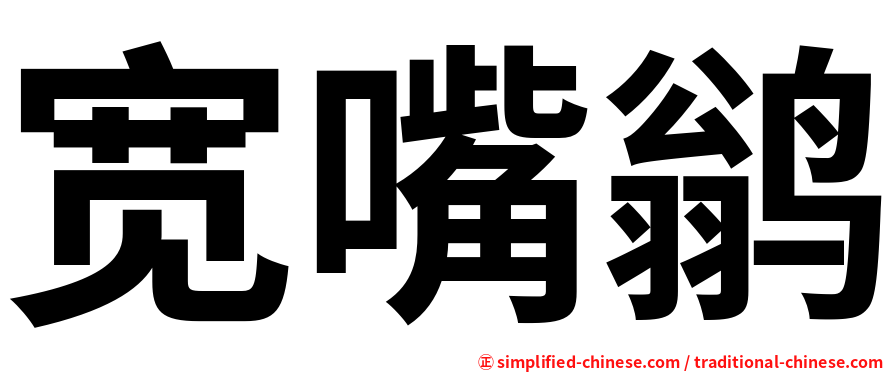 宽嘴鹟