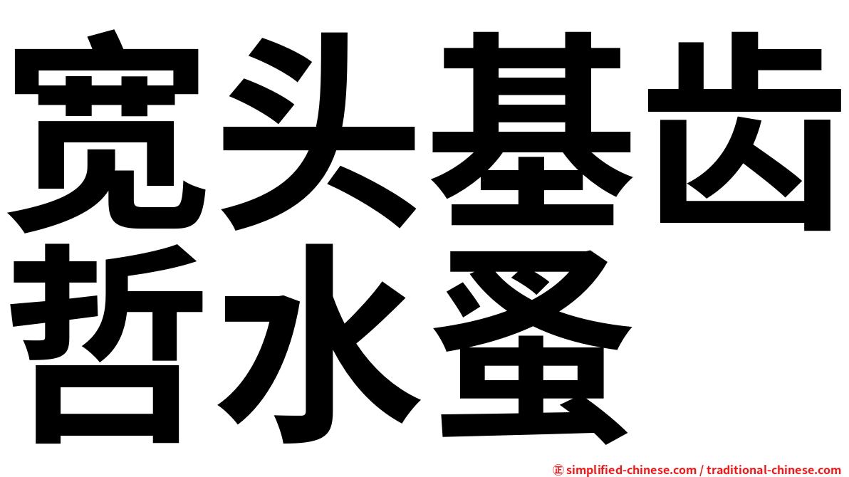 宽头基齿哲水蚤