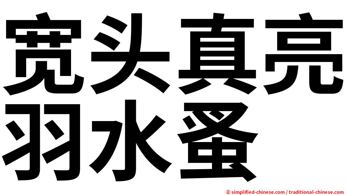 宽头真亮羽水蚤