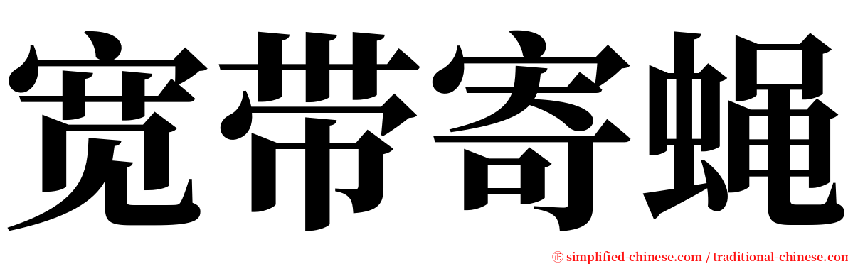 宽带寄蝇 serif font