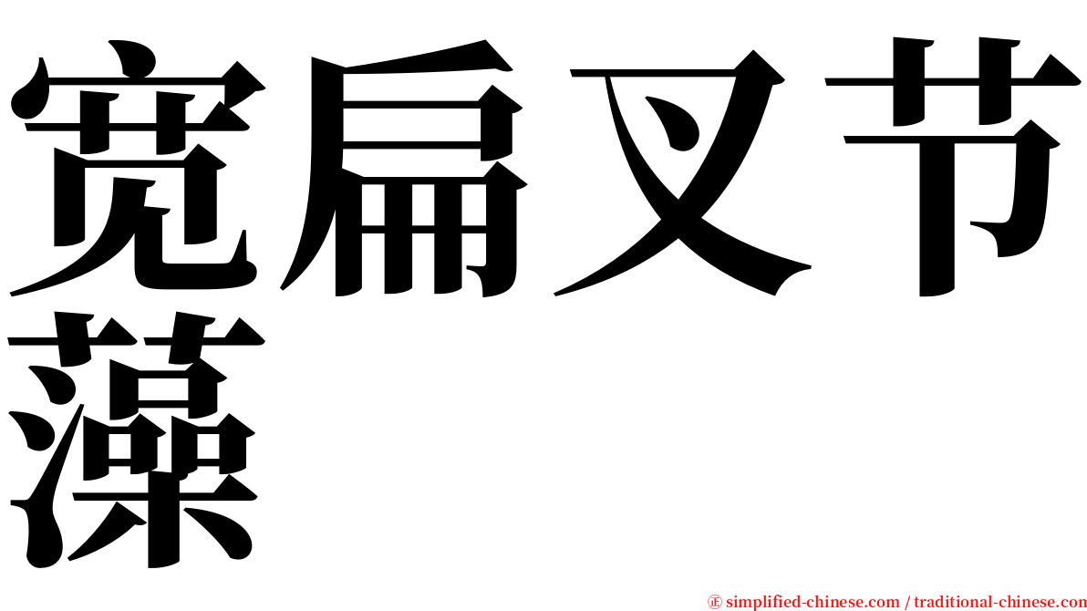宽扁叉节藻 serif font