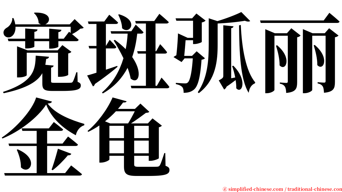 宽斑弧丽金龟 serif font