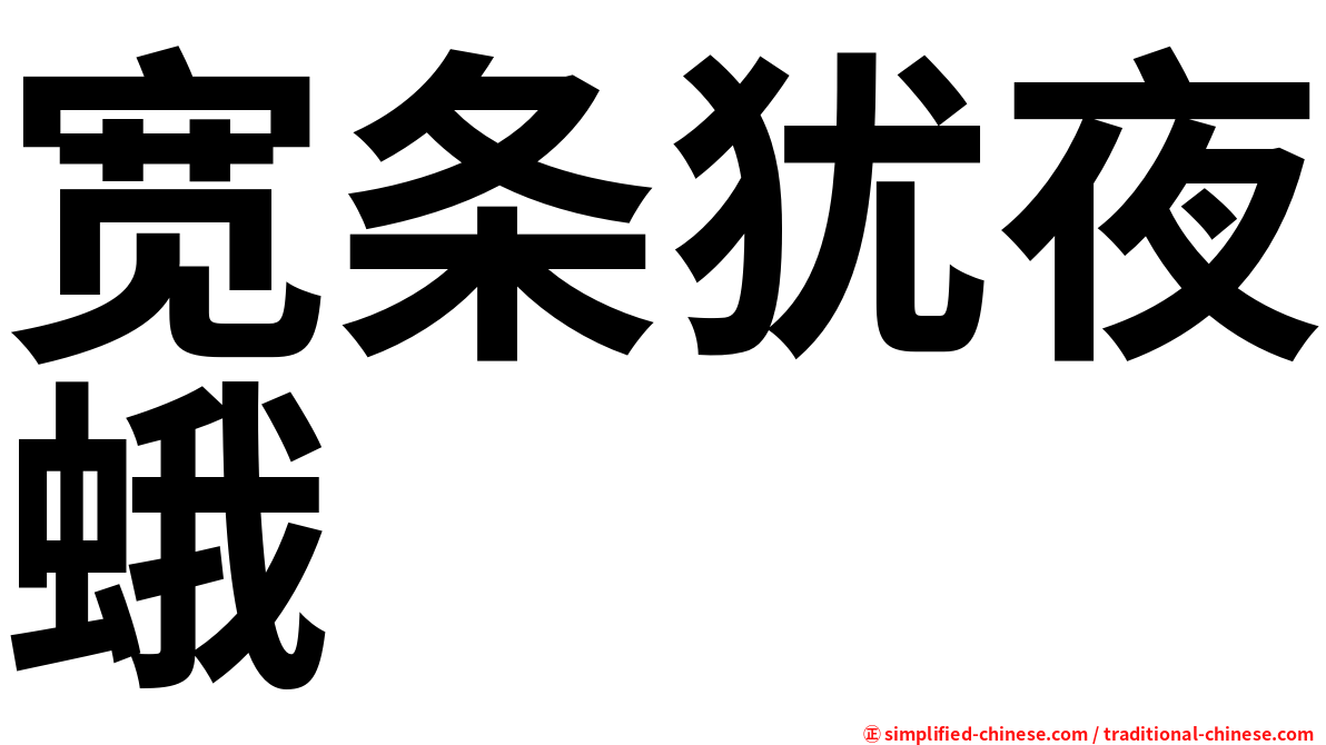 宽条犹夜蛾