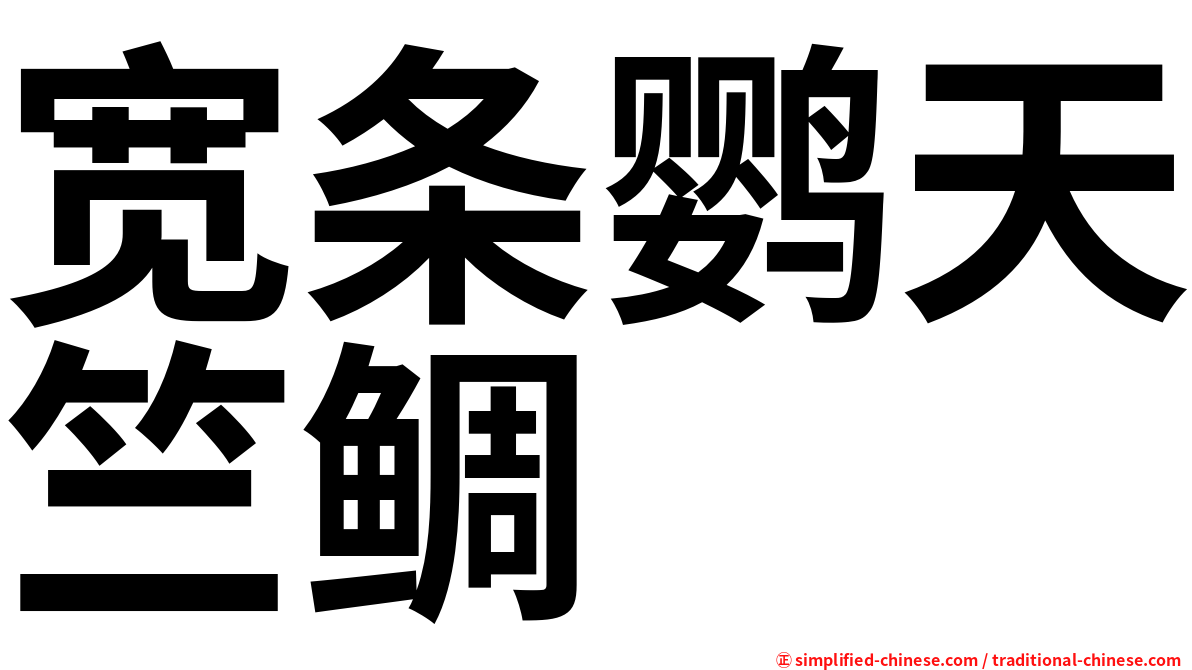 宽条鹦天竺鲷