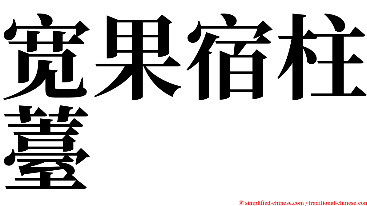 宽果宿柱薹 serif font