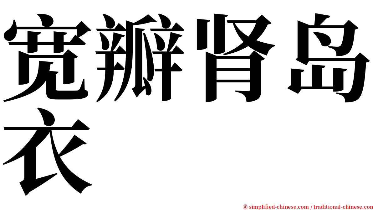 宽瓣肾岛衣 serif font