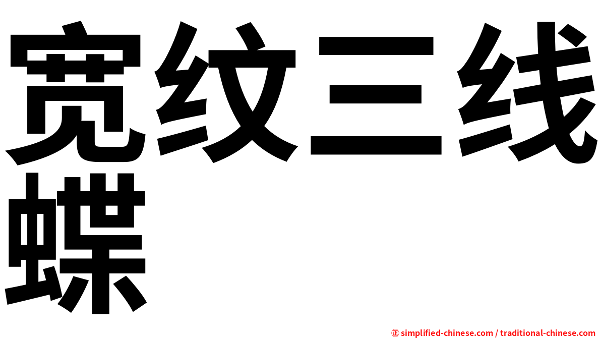 宽纹三线蝶