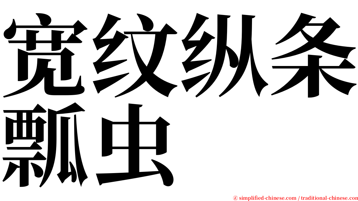 宽纹纵条瓢虫 serif font