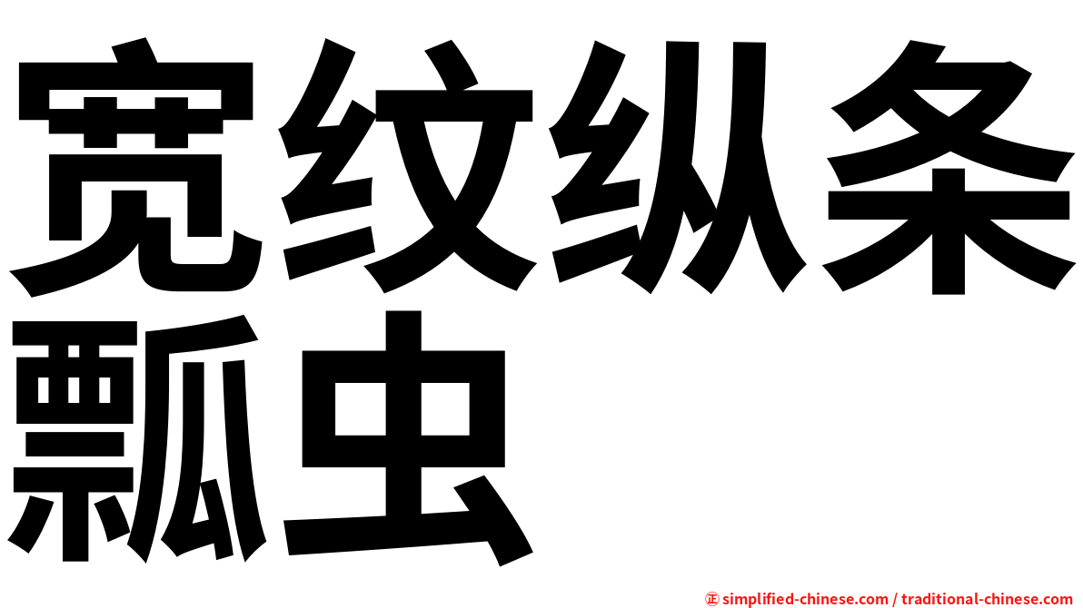 宽纹纵条瓢虫