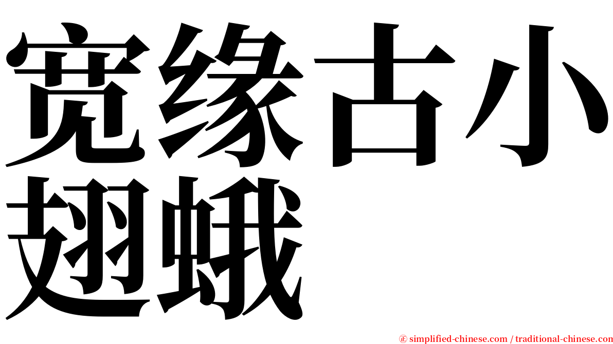 宽缘古小翅蛾 serif font