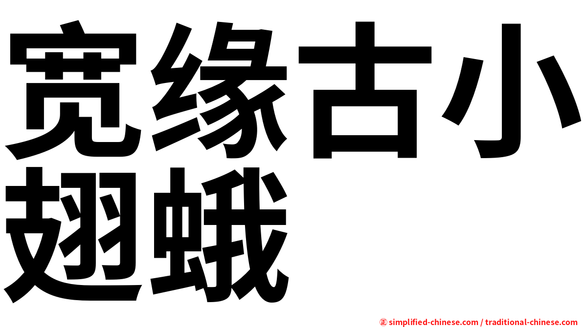 宽缘古小翅蛾