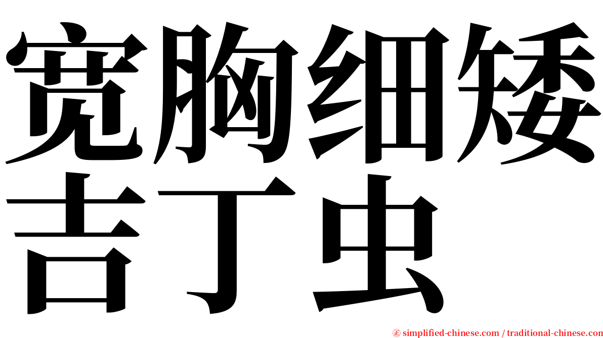 宽胸细矮吉丁虫 serif font