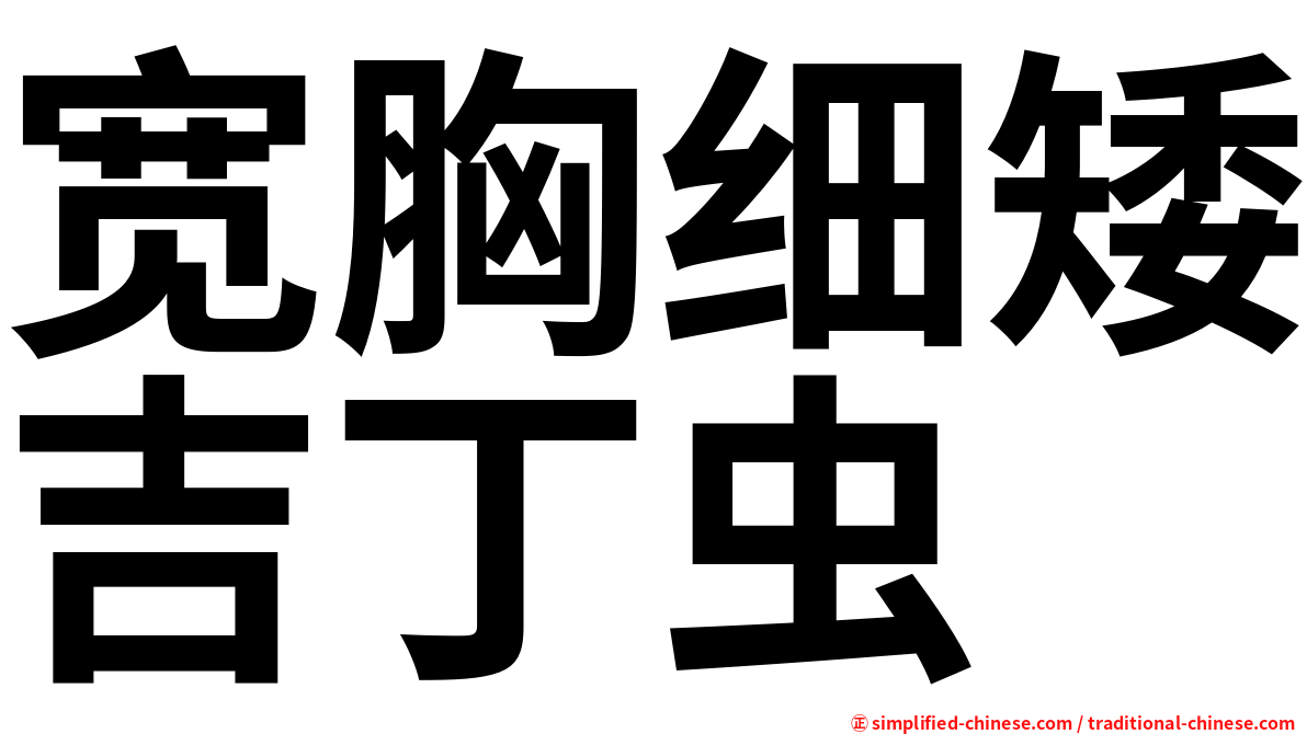 宽胸细矮吉丁虫