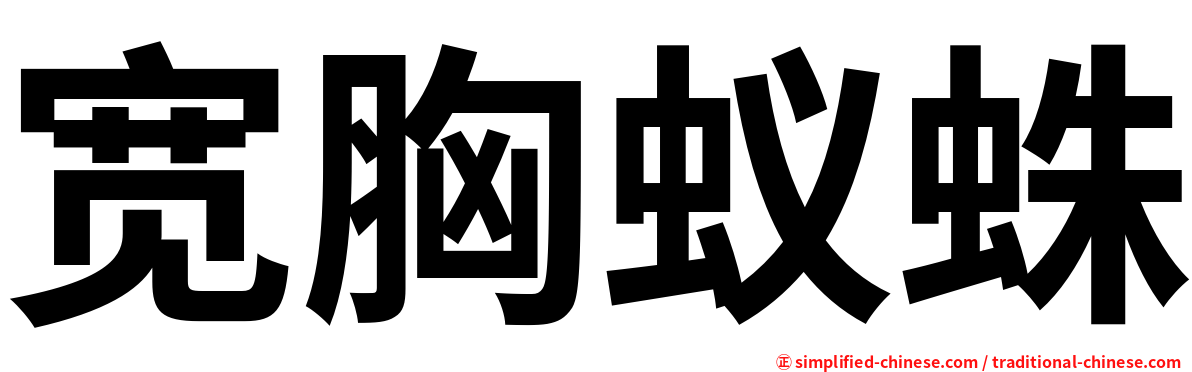 宽胸蚁蛛