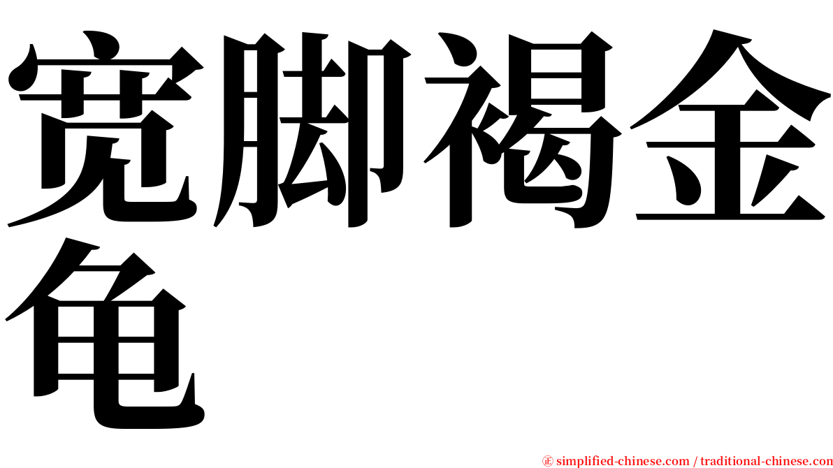 宽脚褐金龟 serif font