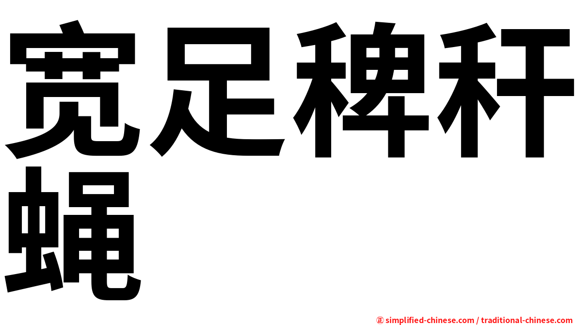 宽足稗秆蝇