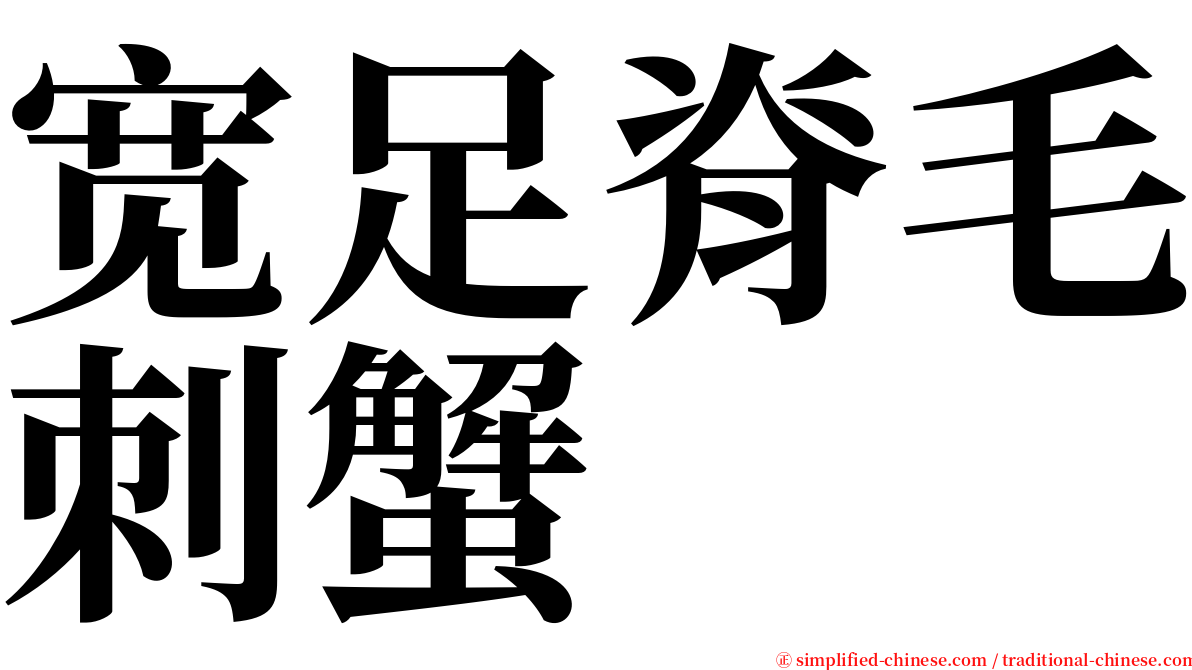 宽足脊毛刺蟹 serif font