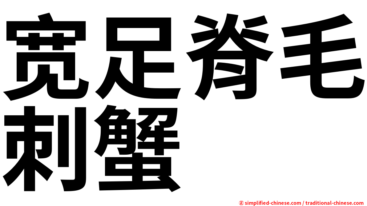 宽足脊毛刺蟹
