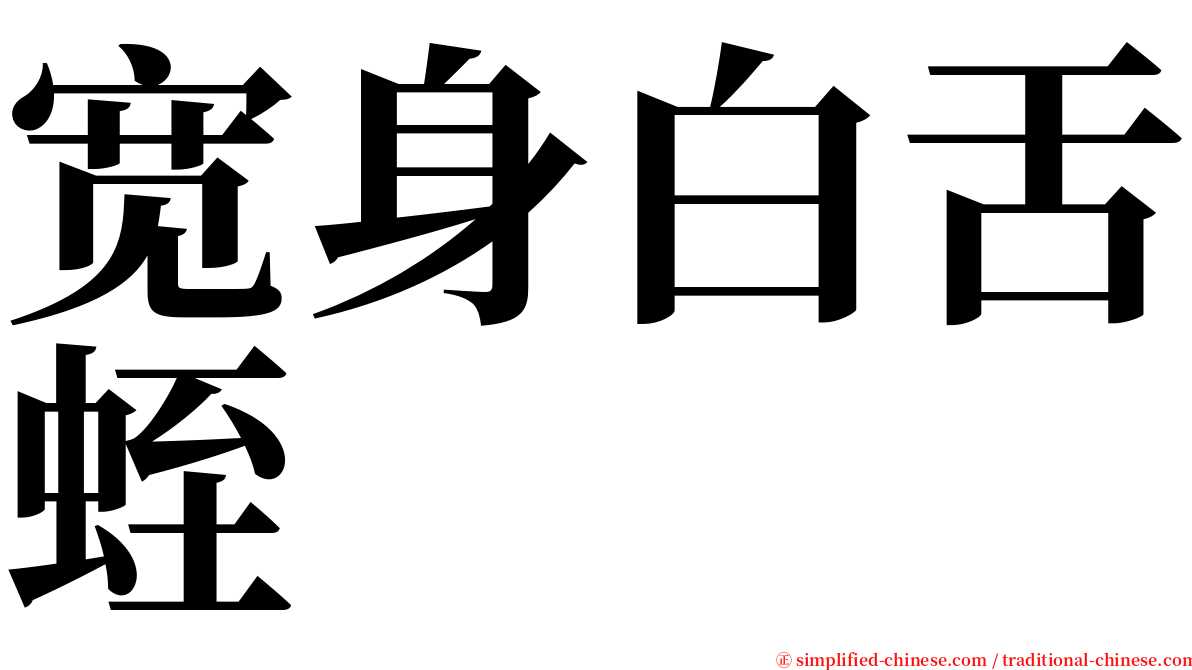 宽身白舌蛭 serif font