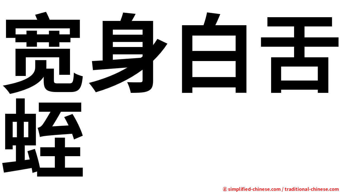 宽身白舌蛭